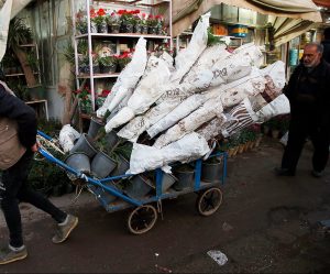 تشهد سوق الزهور والنباتات في طهران إقبالا واسعا بالمواطنين الذين يخططون لإعداد الزهور والنباتات لتزيين مائدة "هفت سين" والترحيب بفصل الربيع.