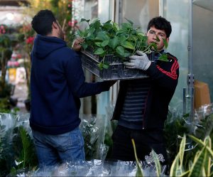تشهد سوق الزهور والنباتات في طهران إقبالا واسعا بالمواطنين الذين يخططون لإعداد الزهور والنباتات لتزيين مائدة "هفت سين" والترحيب بفصل الربيع.