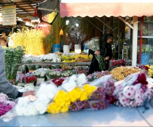 تشهد سوق الزهور والنباتات في طهران إقبالا واسعا بالمواطنين الذين يخططون لإعداد الزهور والنباتات لتزيين مائدة "هفت سين" والترحيب بفصل الربيع.