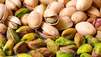 خلال 11 شهراً.. صادرات إيران من الفستق تصل إلى 360 مليون دولار