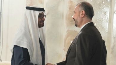 أمير عبداللهيان يلتقي رئيس الامارات ويسلمه دعوة الرئيس الايراني لزيارة طهران